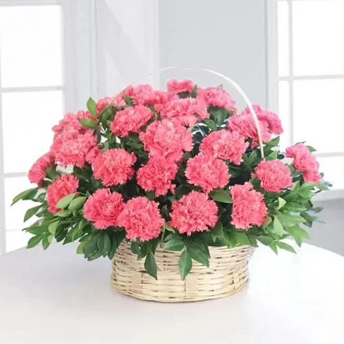 Shop Exclusive Pink Carnation Basket for Mother 