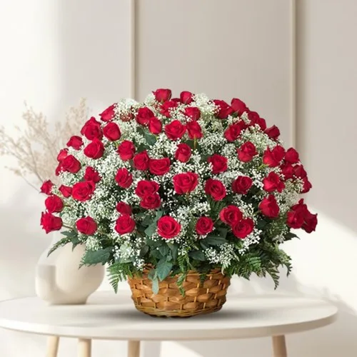 101/201/501/1001 Dutch Red Roses  Arrangement