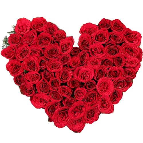 51 Exclusive Dutch Red Roses  in  Heart Shaped Arrangement