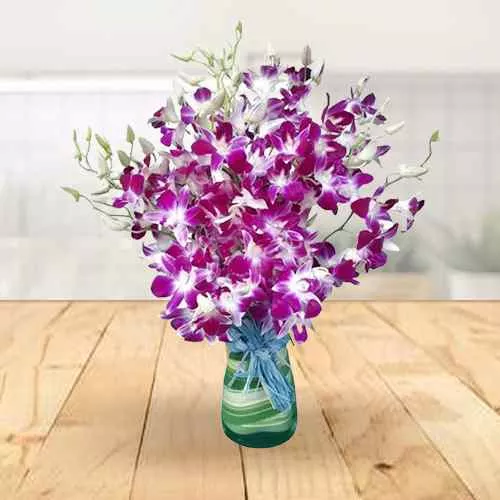 Lovely Orchids in Vase