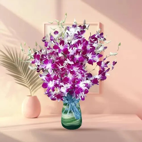 Send Assorted Orchids in Vase 