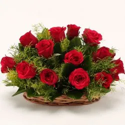 Red Dutch Roses Basket