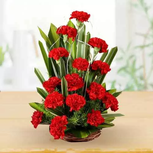 Sophisticated 18 Red Colored Carnations Bouquet