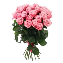 50 Pink roses Bunch