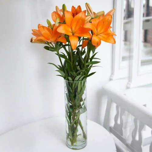 Fashionable Vase Filled with 6 Pcs. Mixed Lilies