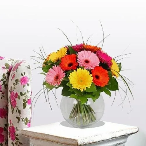 Sending Stunning Gerberas in Vase