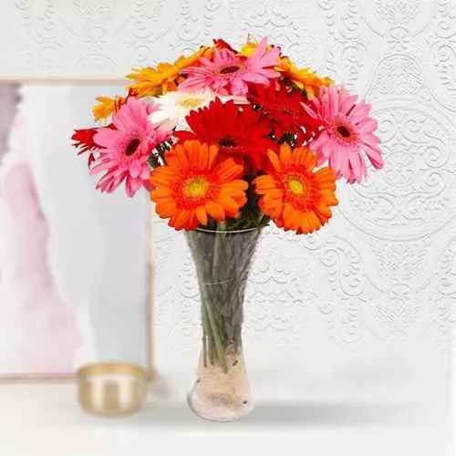 Dazzling Colorful Gerberas in a Glass Vase