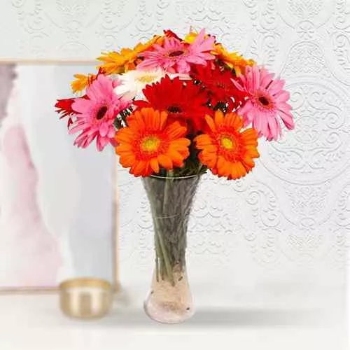 Gorgeous Mixed Gerberas in a Glass Vase