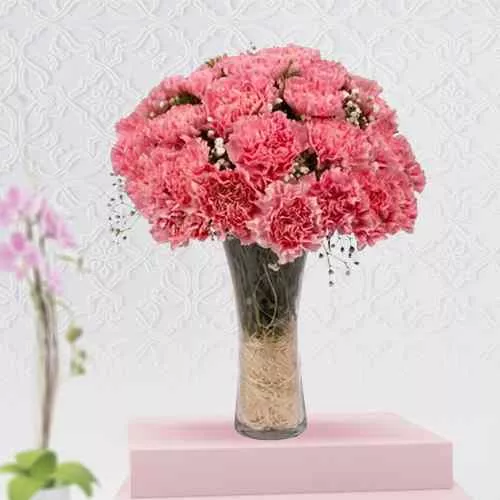 Classic 12 Pink Carnation with Free Vase