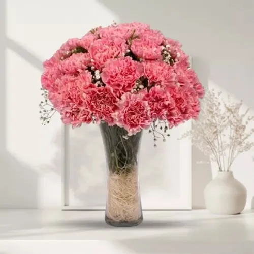 Classic 12 Pink Carnation with Free Vase