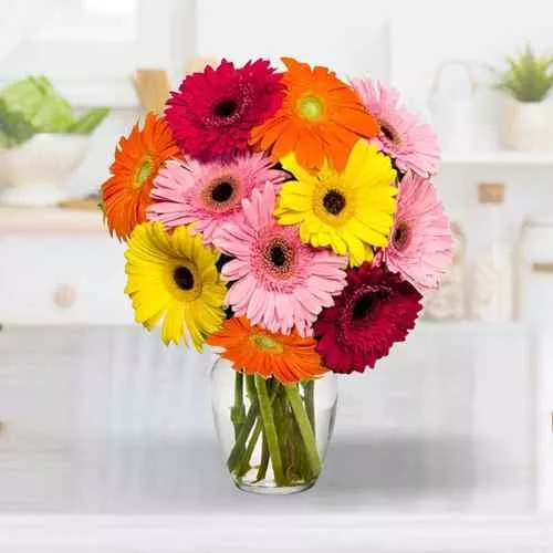 Lovely Assorted Gerberas in a Glass Vase