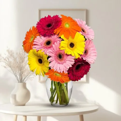 Pretty Mixed Gerberas in a Glass Vase