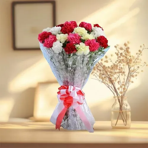 Long Stem Mixed Carnations Bunch
