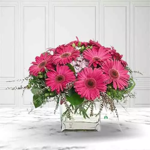 Send Bunch of Pink Gerberas