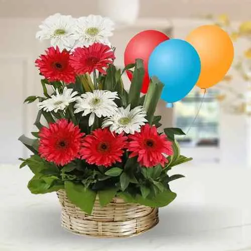 Expressive Sunshine Mixed Gerberas Bouquet and Balloons