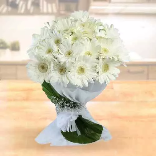 Graceful White Gerberas Bunch