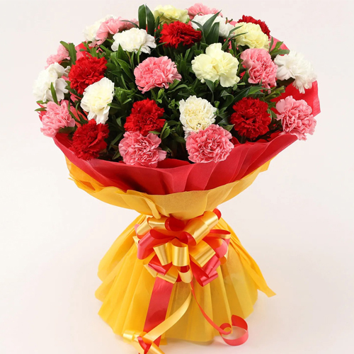 Send for Bouquet of Mixed Carnations 