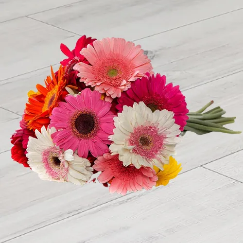 Send Assemble of Mixed Gerberas