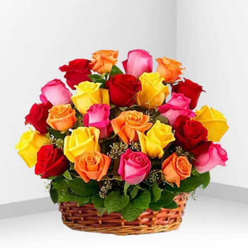 Breathtaking Flower Colour Splash Collection