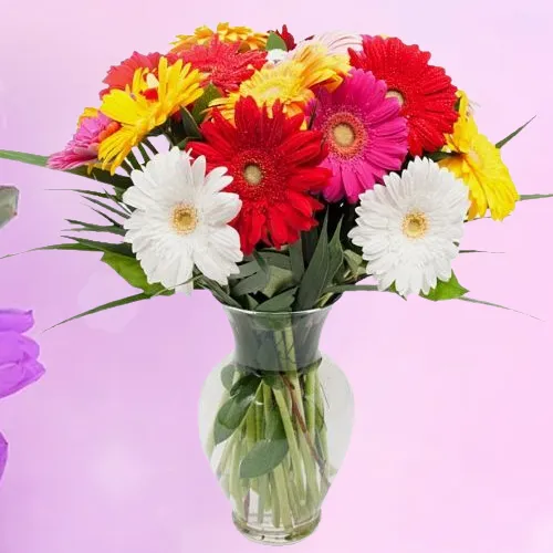 Shop Mixed Gerberas in a Glass Vase