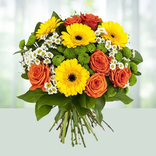 Brightness Floral Collection