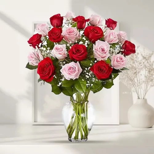 Sending Bouquet of Pink and Red Roses