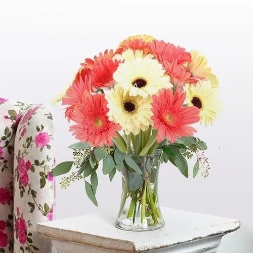 Shop Enigmatic Freshness Gerbera Assemblage