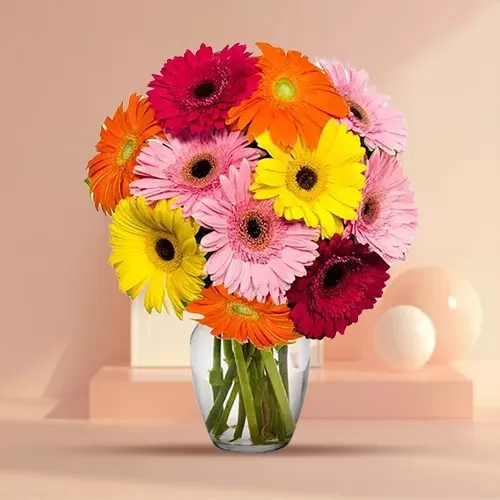 Amazing Gerberas Assemblage in a Vase