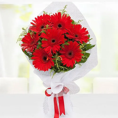 Send for Precious Red Gerberas Bouquet