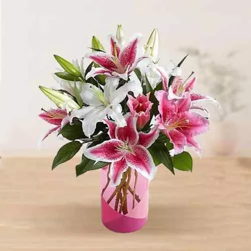 Overwhelming Flock of Dateless Lilies