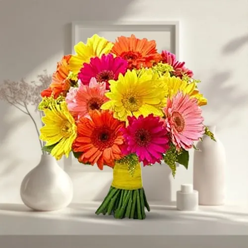 Beautiful Bouquet of Colourful Gerberas with 1 Cadbury Silk