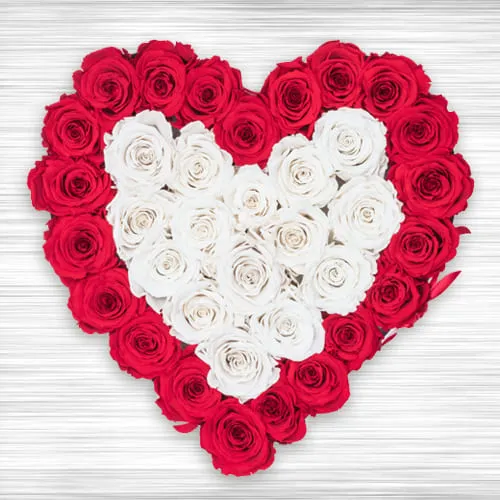 Wonder Heart Red n White Rosy