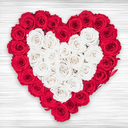 Order Heart Shaped Arrangement of Red n White Roses