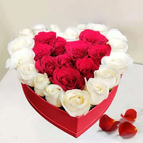 Deliver Arrangement of Red and White Roses in Heart Box