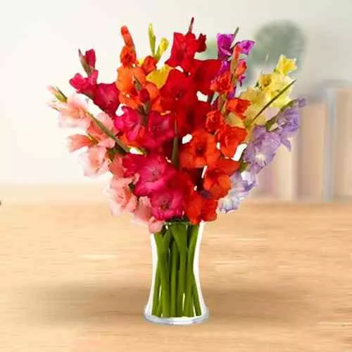 Sending Mixed Color Gladiolus in a Glass Vase