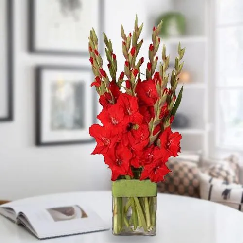 Order Alluring Red Gladiolus in a Glass Vase