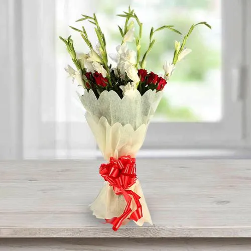 Gladiolus N Rosy in Wrap
