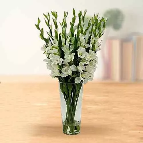 Order Exclusive White Gladiolus in a Glass Vase