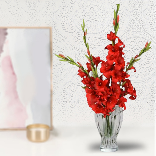 Marvelous Red Gladiolus Display in Glass Flower Vase