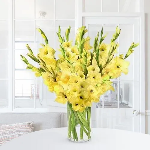 Order for Yellow Gladiolus in a Glass Vase