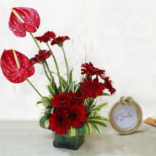 Delightful Red Gerbera n Anthodium Arrangement in Glass Vase