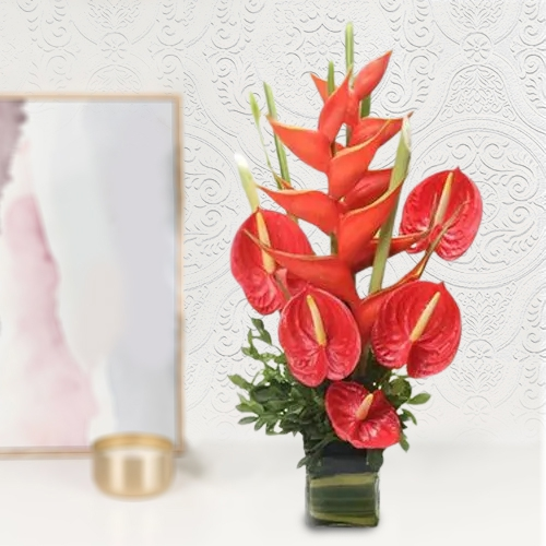 Send Red Anthodium with BOP Arrangement in a Glass Vase