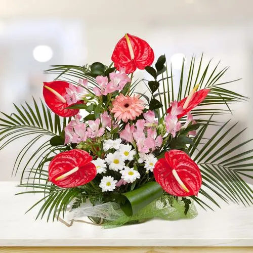 Ship Captivating Anthodium n Assorted Flowers Arrangement