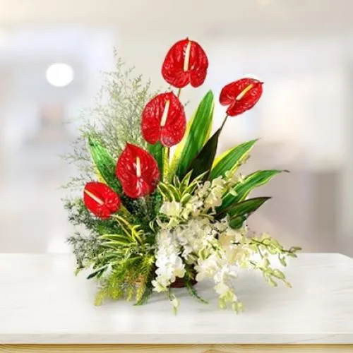 Shop Striking Anthodium N Orchids Arrangement