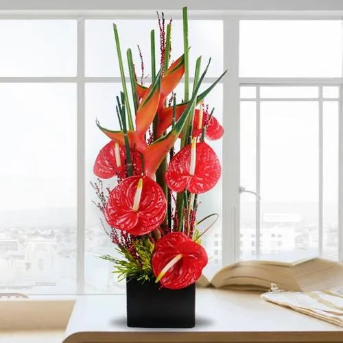 Shop Wonderful Red Anthurium n BOP Arrangement in Black Box