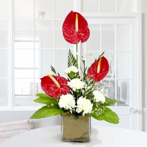 Book Anthodium n Carnations Display in Glass Vase