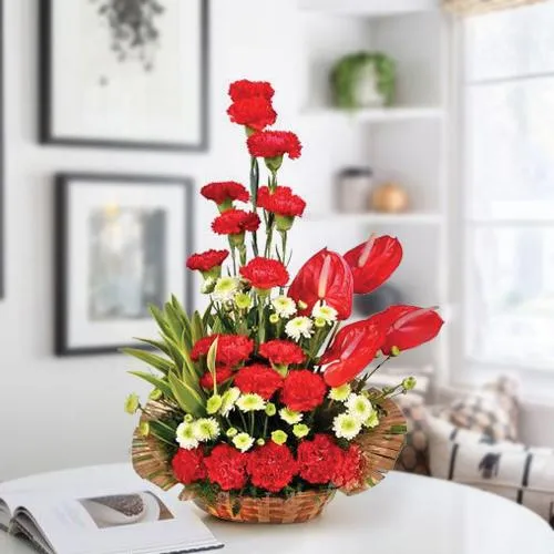 Shop Amusing Arrangement of Red Carnations n Anthodium