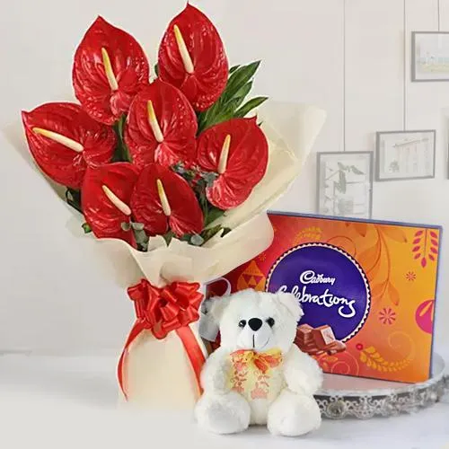 Sending Combo of Anthurium Bunch, Chocolates n Teddy