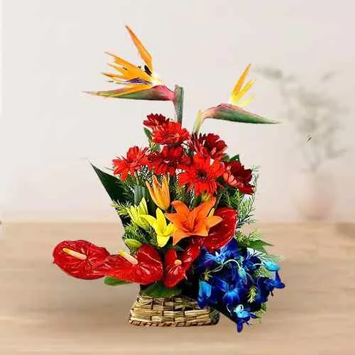 Visually Stimulating 23 Mixed Flower Basket
