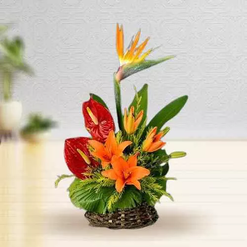 Brilliant Blooms Flowering Basket